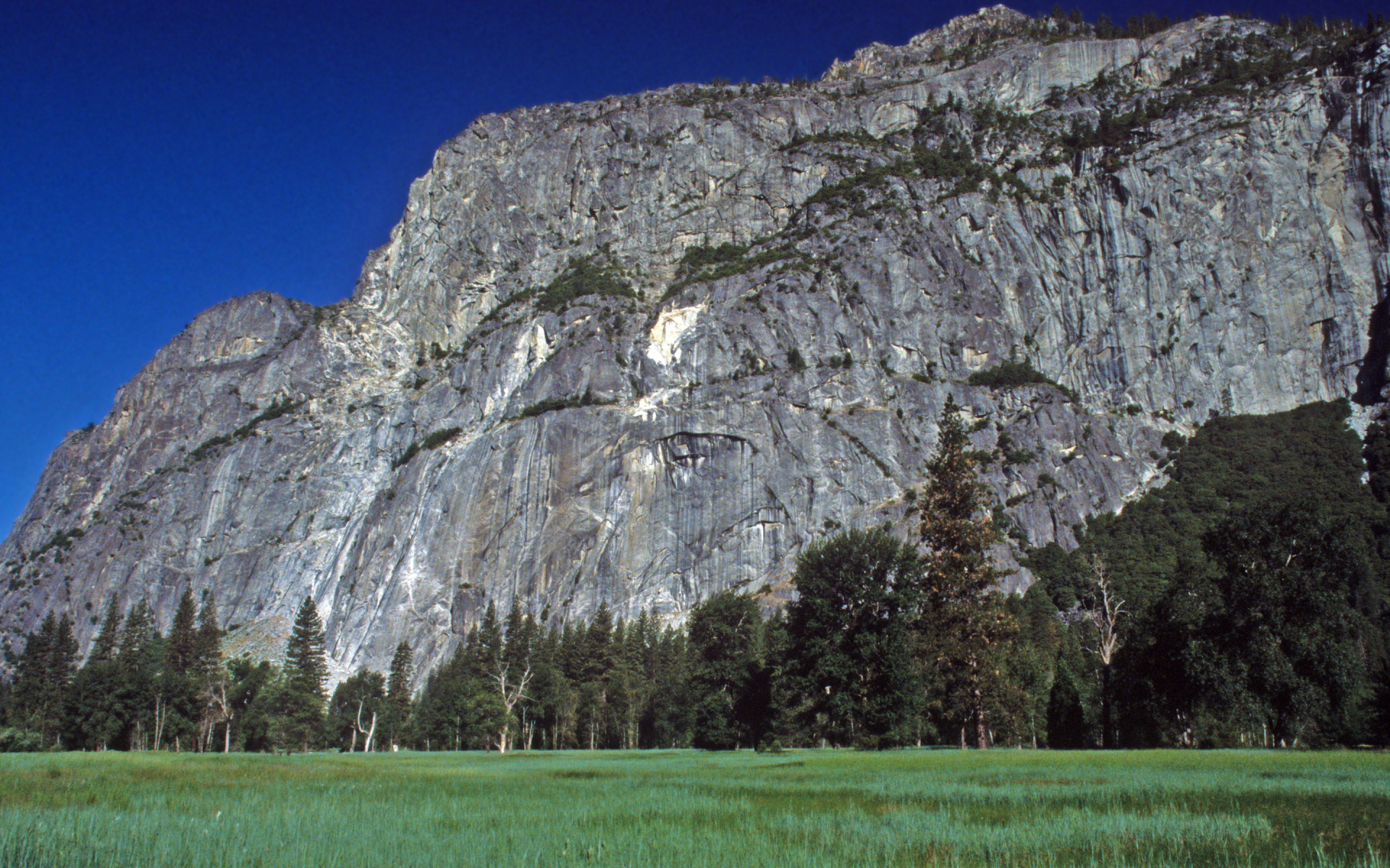 Yosemite Big Rock in Meadow