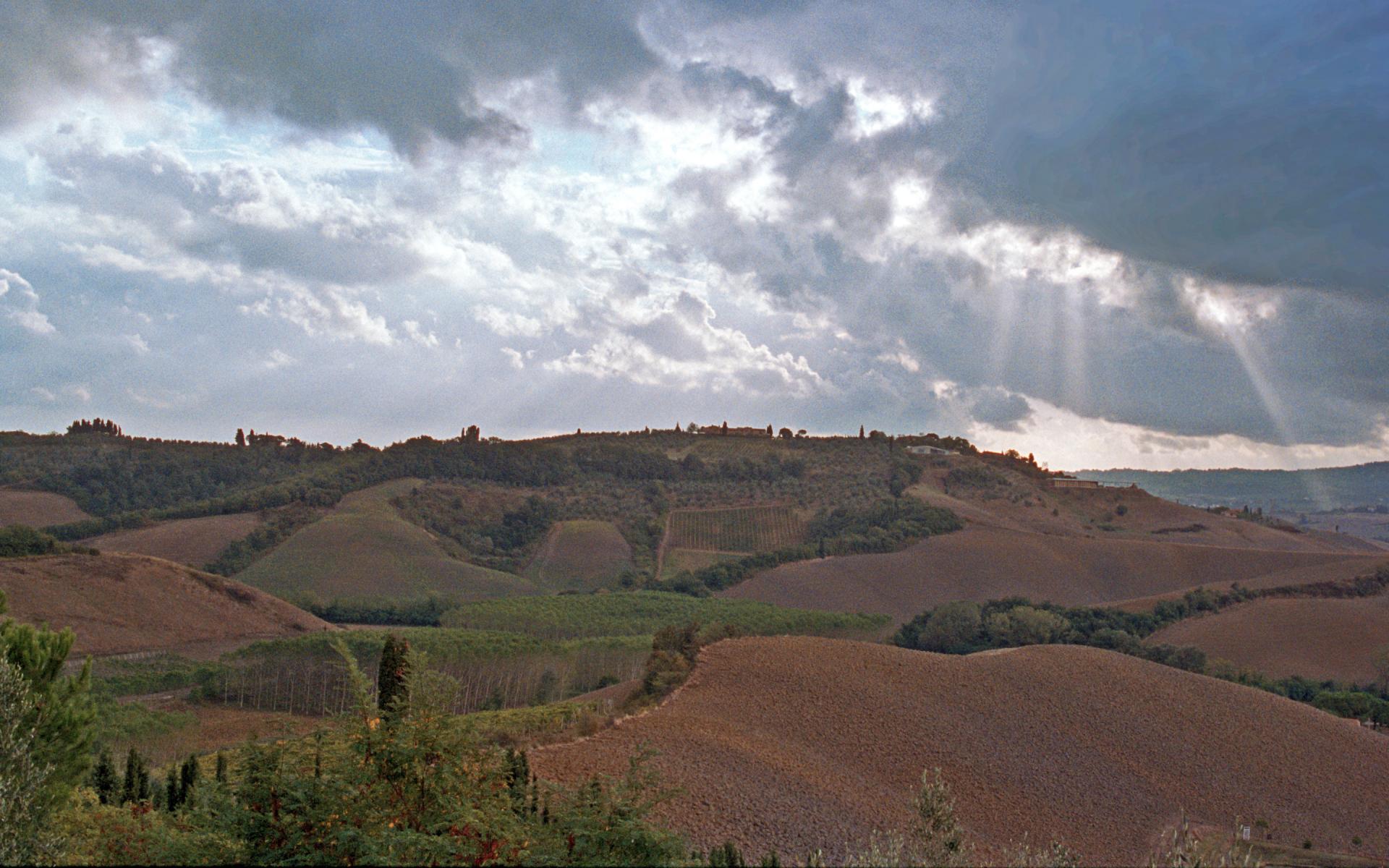 Certaldo Hills - Tuscany