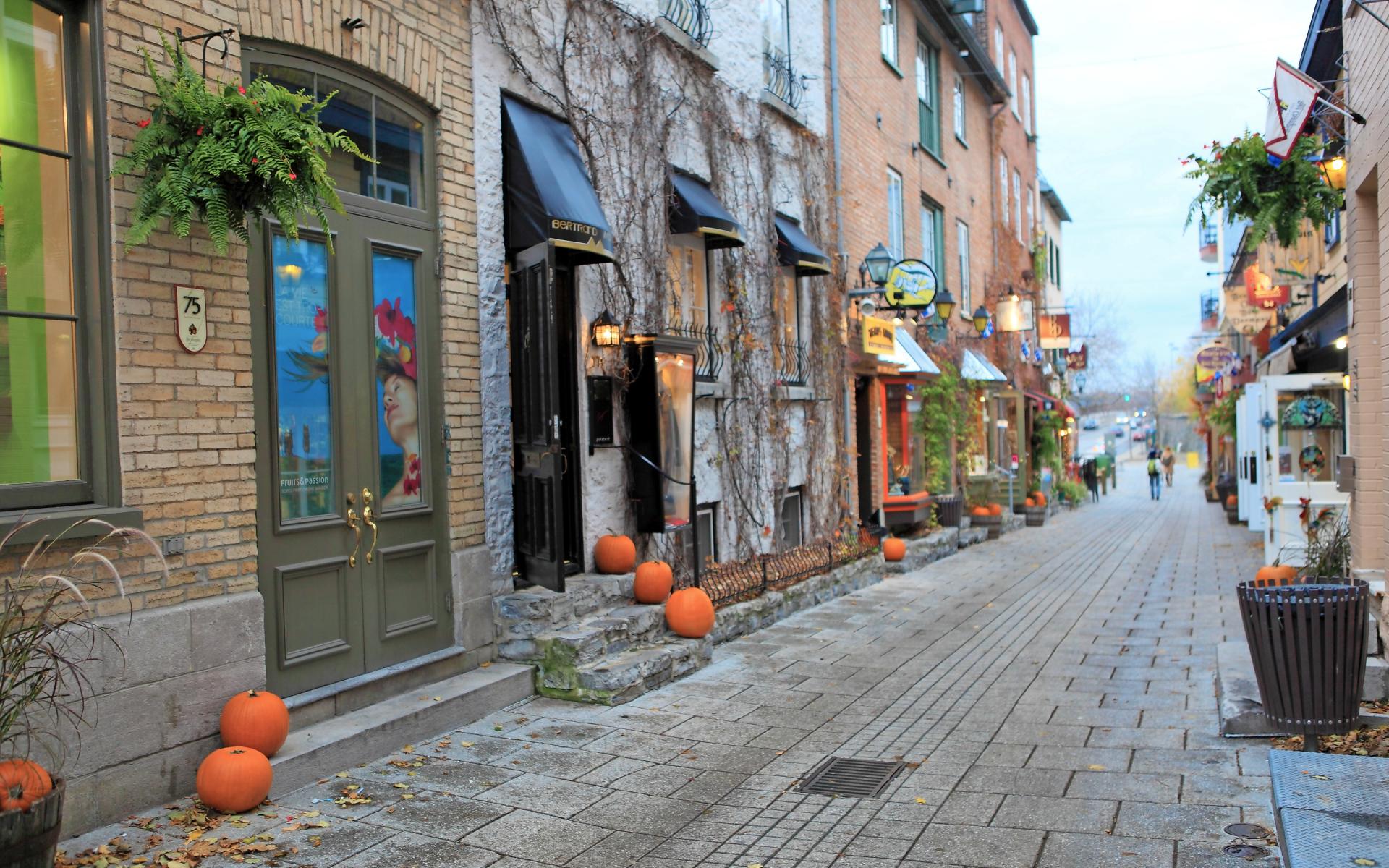 Quebec City Pumpkins