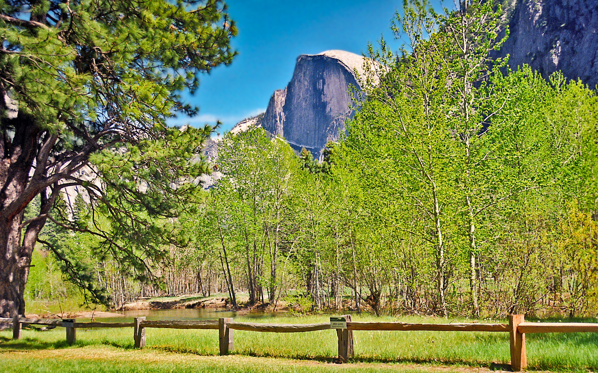 Half Dome - Valley Floor View