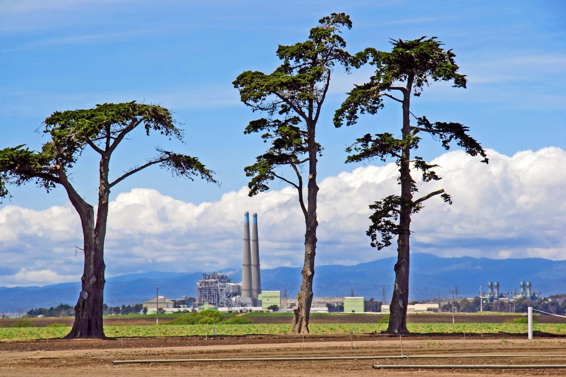 Moss Landing